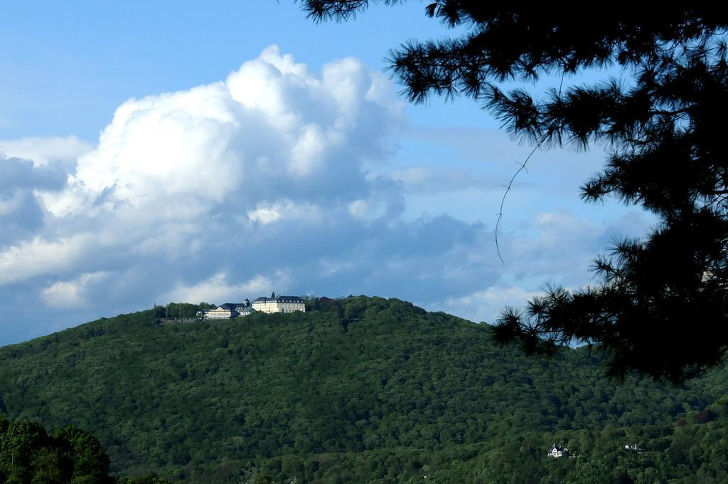 Hotel Dahl Wachtberg Zewnętrze zdjęcie